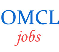 Executives as Managers Jobs in OMC Limited