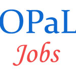 Professionals Jobs in OPaL 