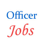 Officer post in The Oriental Insurance Company Ltd.