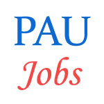 Various jobs in Punjab Agricultural University (PAU)