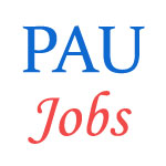 Various Jobs in Punjab Agricultural University (PAU)