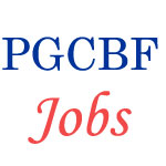 Dena Bank Probationary Officer Jobs