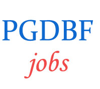 Assistant Manager Jobs by Manipal PGDBF
