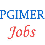 Group A and B Jobs in PGIMER