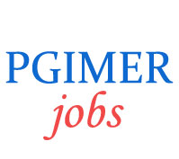 Assistant Professor Jobs in PGIMER