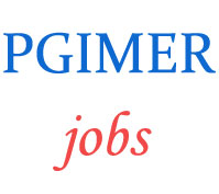 Group-B and Group-C Jobs in PGIMER
