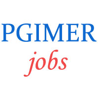 Technician Operation Theatre Jobs in PGIMER