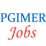 Postgraduate Institute of Medical Education & Research (PGIMER) Jobs