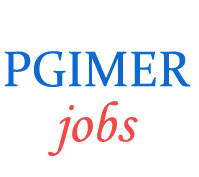 Junior Engineer Jobs in PGIMER