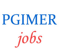 Group-A, B and C Jobs in PGIMER