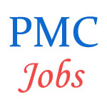 Various jobs in Punjab Municipal Corporations