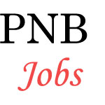 Manager Security Jobs in Punjab National Bank