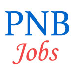 Hockey Player Jobs in PNB