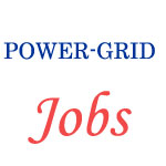   Senior Engineer SAP-ERP Jobs in Power Grid