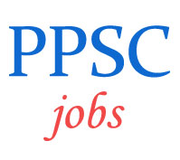 Senior Level Stenographers Jobs in Punjab PSC