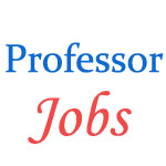 Various Professor Jobs in Saurashtra University