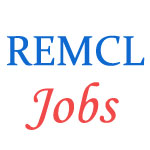 Electrical Engineer Jobs in REMCL