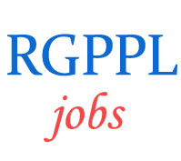Executives Jobs in RGPPL