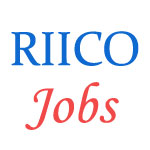 Various Jobs in Rajasthan State Industrial Development and Investment Corporation (RIICO)