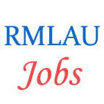 Teaching Jobs in Dr. RML Avadh University 