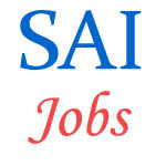 Assistant Professor Jobs in SAI