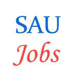Various Jobs in South Asian University (SAU)