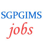 Sister Gr.II (Nurse) Jobs in SGPGIMS