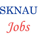 Jobs in SKNAU Jobner Jaipur