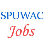 contractual Jobs in Special Police Unit for Women and Children (SPUWAC)