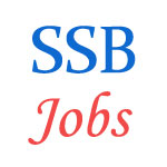 8 posts of Assistant Commandant in  Sashastra Seema Bal (SSB)