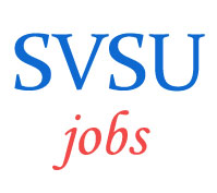 Teaching Jobs in Haryana Vishwakarma Skill University