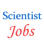 Scientist Jobs in Ministry of Environment, Forest and Climate Change