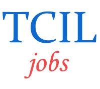 Managers Jobs in TCIL 
