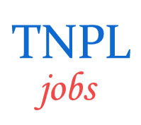 Director Manager Jobs in TNPL