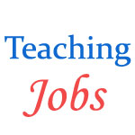 Professor vacancies in Tezpur University