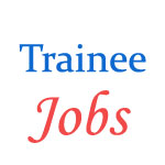 07 posts of Management Trainees in CEMENT CORPORATION OF INDIA LIMITED (CCI)