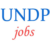 United Nations Development Programme Jobs in  KSRLPS