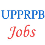UP Police Jail Warder and Fireman Jobs