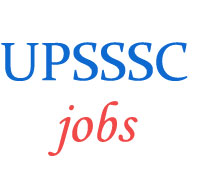 Junior Assistant Jobs by UPSSSC