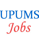 Teaching Jobs in Uttar Pradesh University of Medical Sciences (UPUMS)