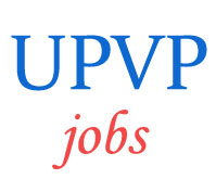 UP Vidhan Parishad Jobs