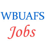 Officers Jobs in WBUAFS