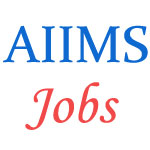 Staff nurses Jobs in AIIMS Jodhpur