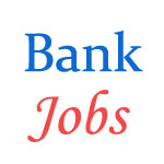 Various Jobs in Punjab National Bank (PNB)