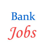 Various Jobs in Sutlej Gramin Bank (SGB)