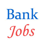 Various Jobs in STATE BANK Of INDIA (SBI) 