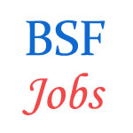 BSF Jobs - Assistant Commandant Pilot posts