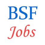 BSF JOBS - Constable Recruitment