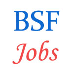 BSF Jobs - Para-Medical Staff recruitment