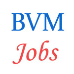Bihar Vikas Mission Jobs